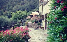 Farmhouse B&B Castagnola 64